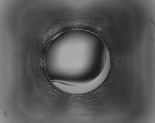 X0000103131253200809121724