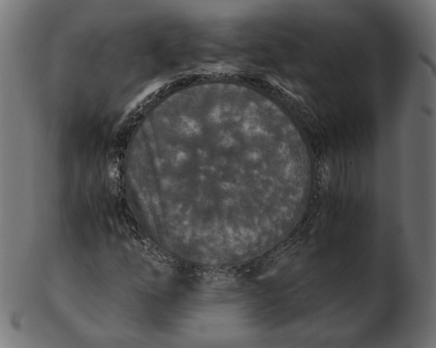 X0000103131254200809121724