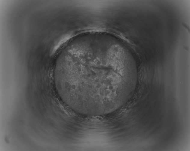 X0000103131255200809121724