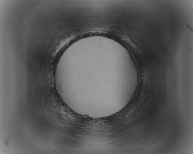 X0000103131256200809121724