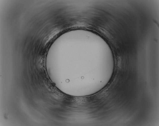 X0000103131258200809121724