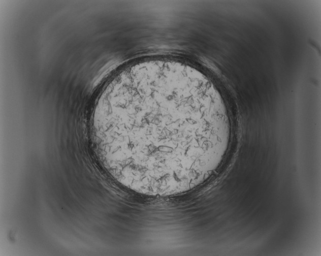 X0000103131259200809121724
