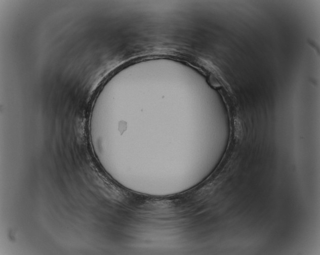 X0000103131260200809121724