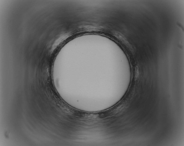 X0000103131261200809121724