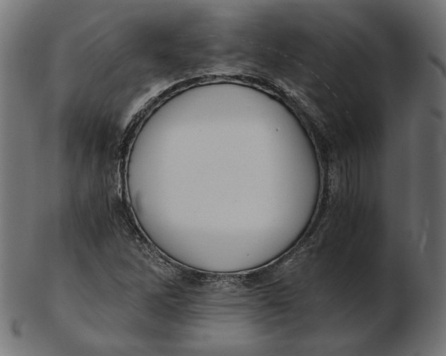 X0000103131262200809121724