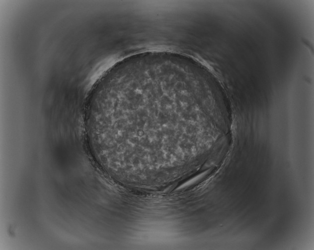 X0000103131263200809121724