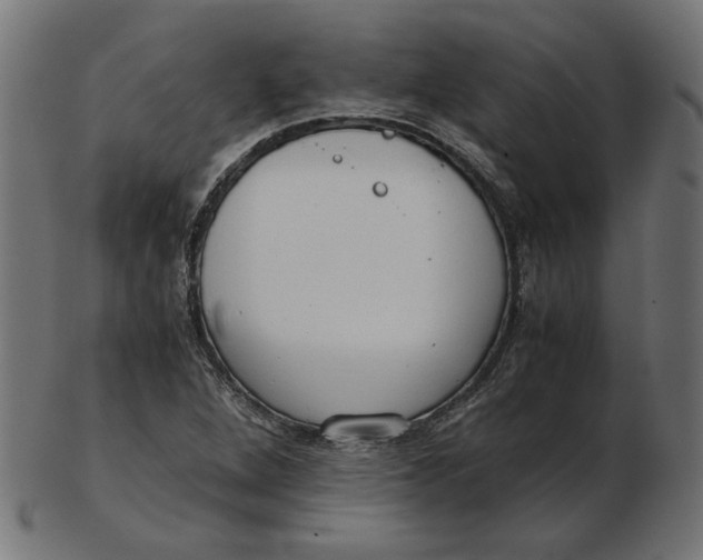 X0000103131264200809121724