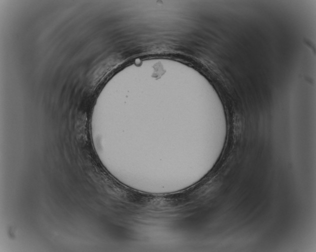 X0000103131265200809121724