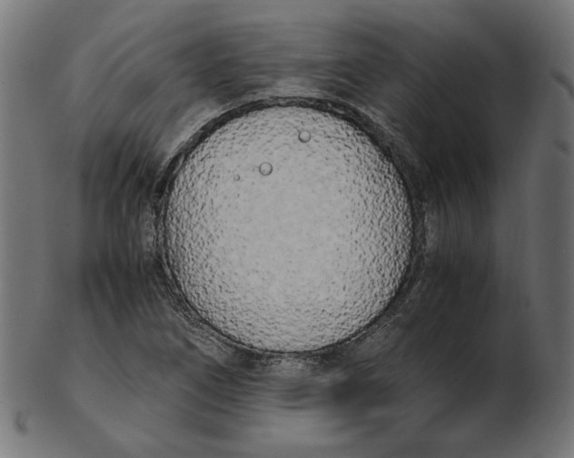 X0000103131266200809121724