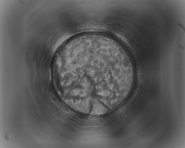 X0000103131267200809121724