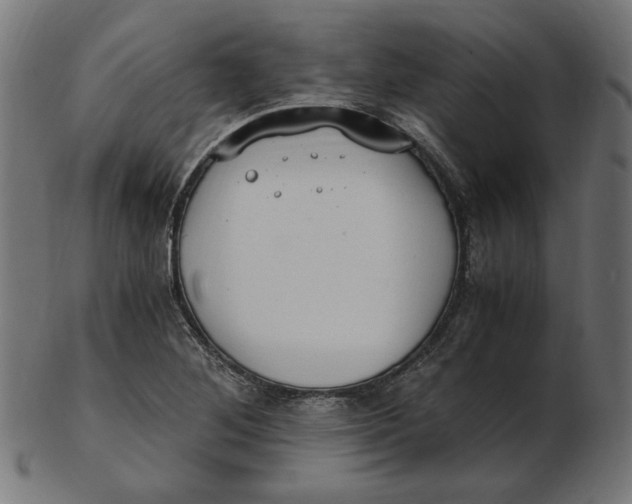 X0000103131268200809121724