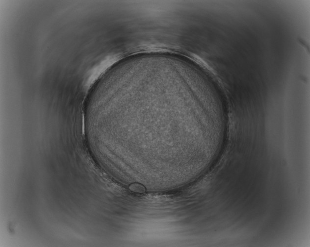 X0000103131269200809121724