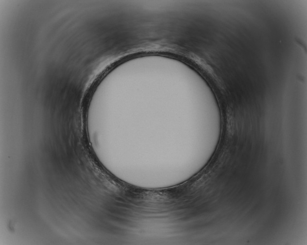 X0000103131270200809121724