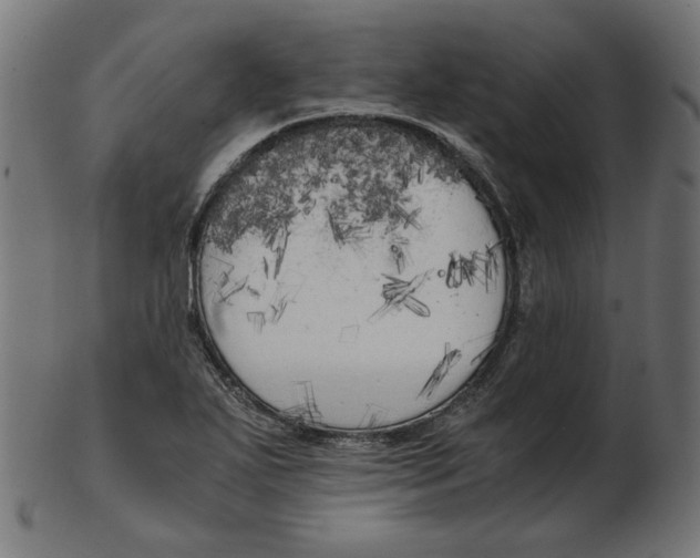X0000103131271200809121724