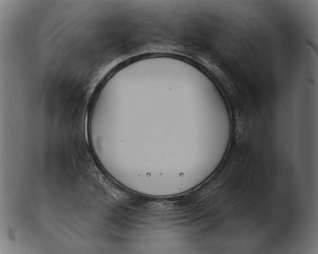 X0000103131272200809121724