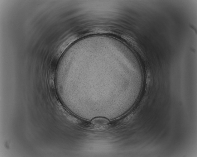 X0000103131273200809121724