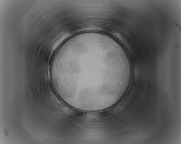 X0000103131274200809121724