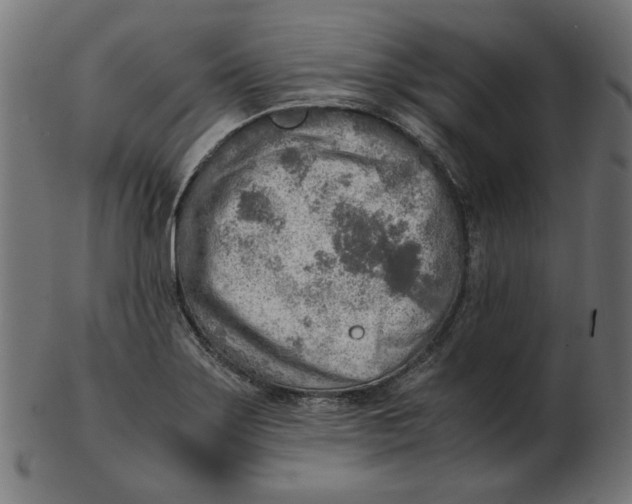 X0000103131275200809121723