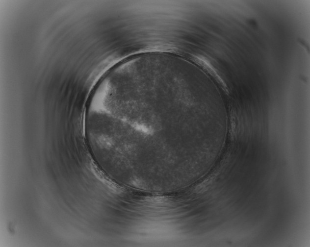 X0000103131276200809121723