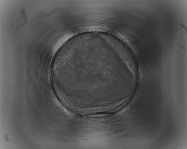 X0000103131277200809121723