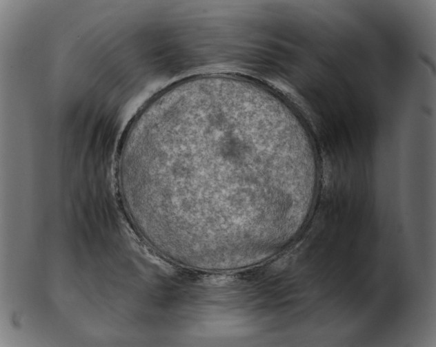 X0000103131278200809121723