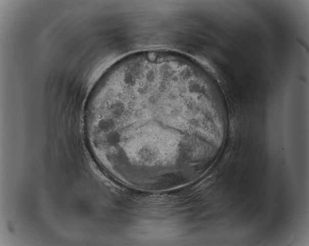 X0000103131279200809121723