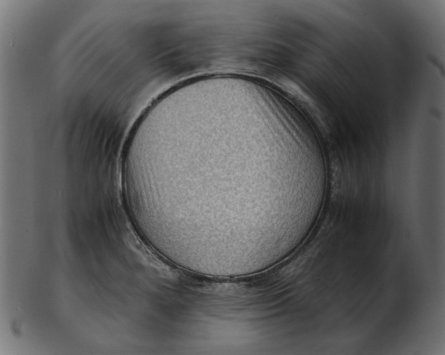 X0000103131280200809121723