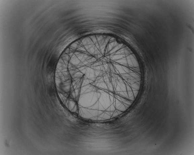 X0000103131281200809121723