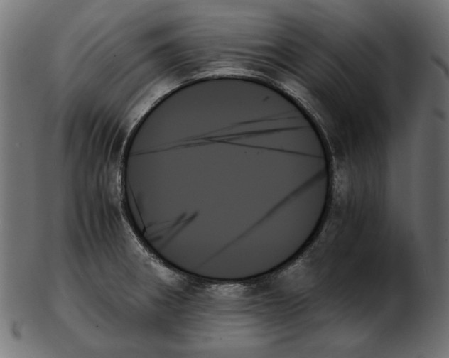 X0000103131282200809121723