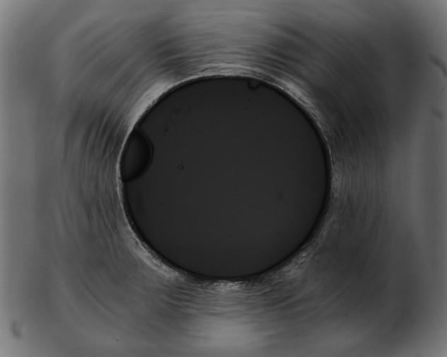 X0000103131283200809121723