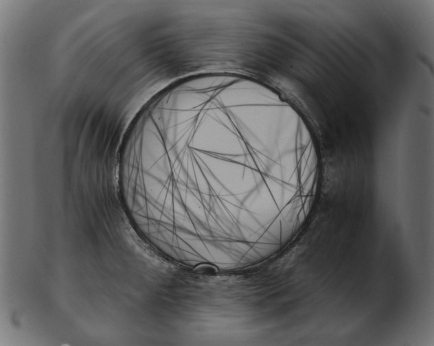 X0000103131284200809121723