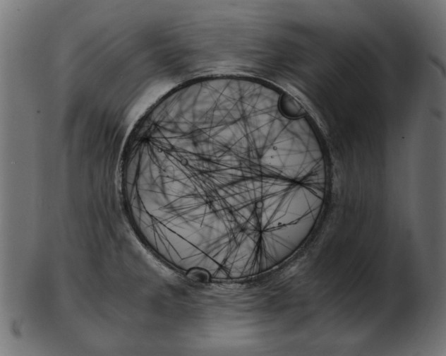 X0000103131285200809121723