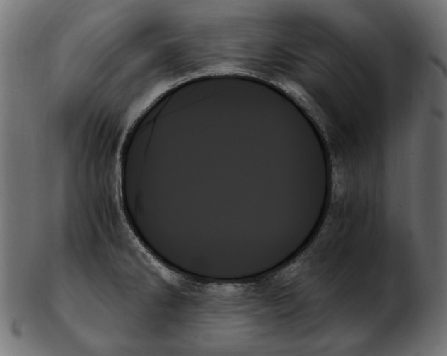 X0000103131286200809121723