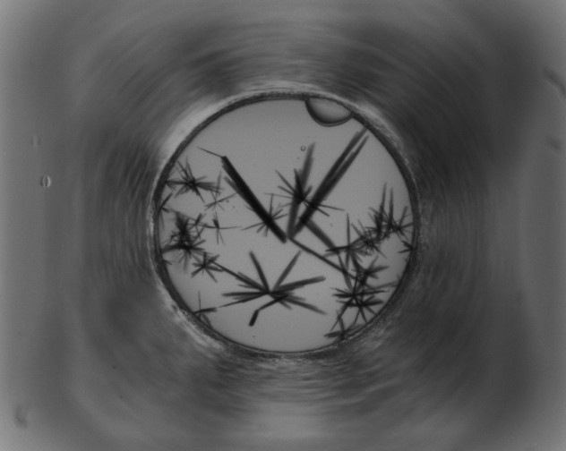 X0000103131287200809121723