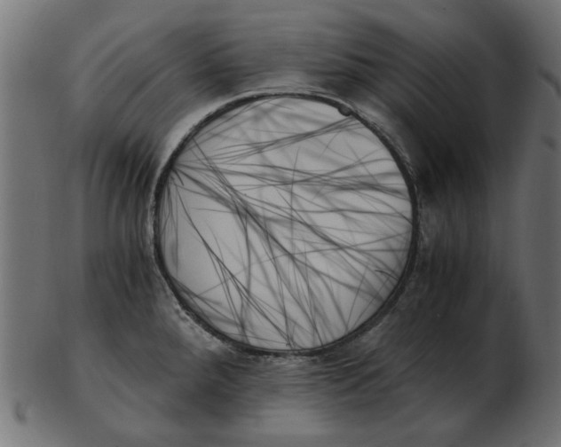 X0000103131288200809121723