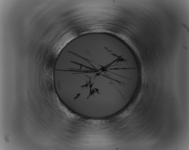 X0000103131289200809121723