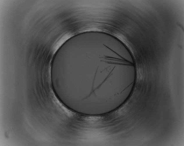 X0000103131290200809121723