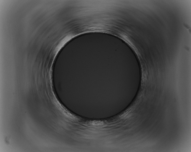 X0000103131291200809121723