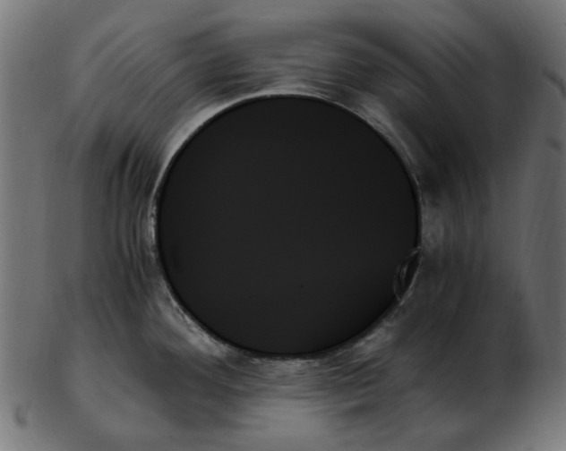 X0000103131292200809121723