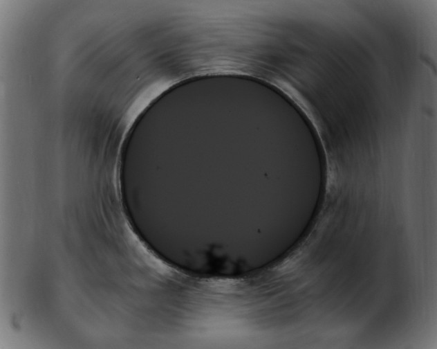 X0000103131293200809121723