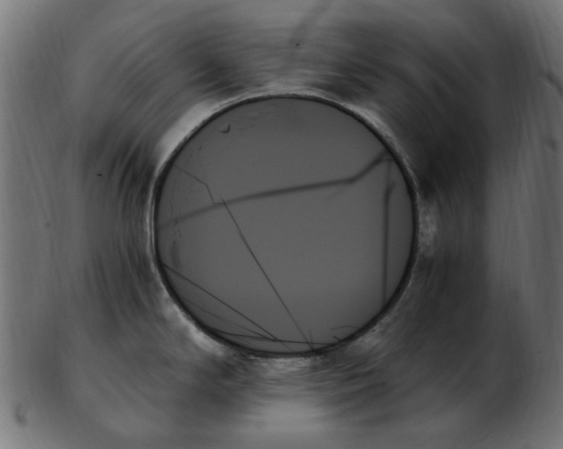 X0000103131294200809121723