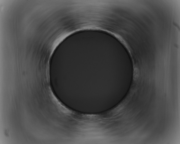 X0000103131295200809121723