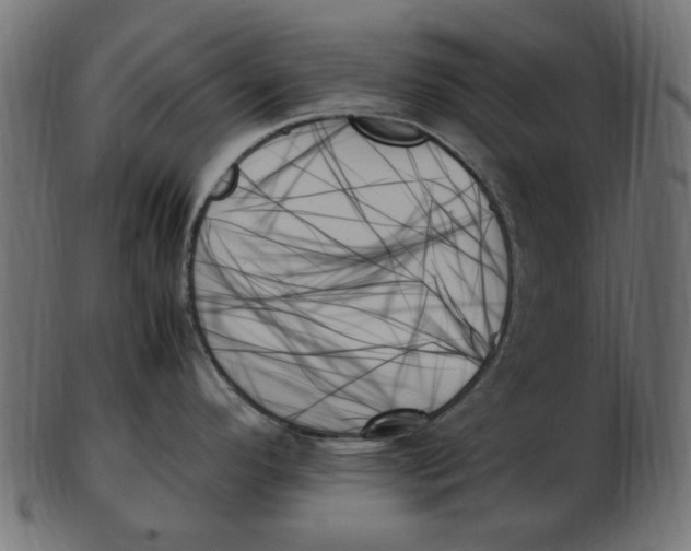 X0000103131296200809121723