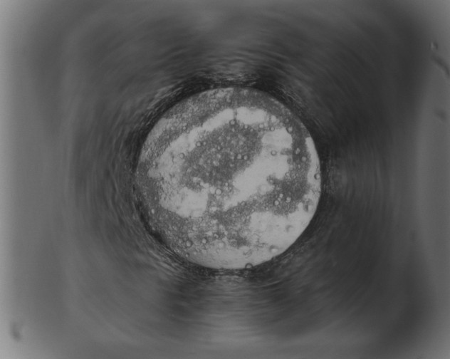 X0000103131297200809121723