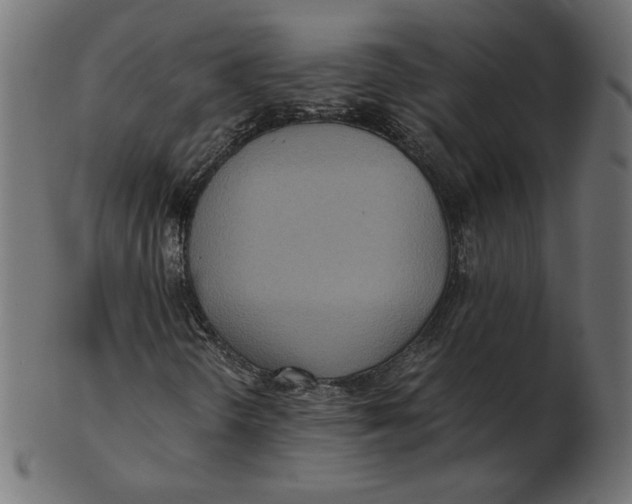 X0000103131298200809121723