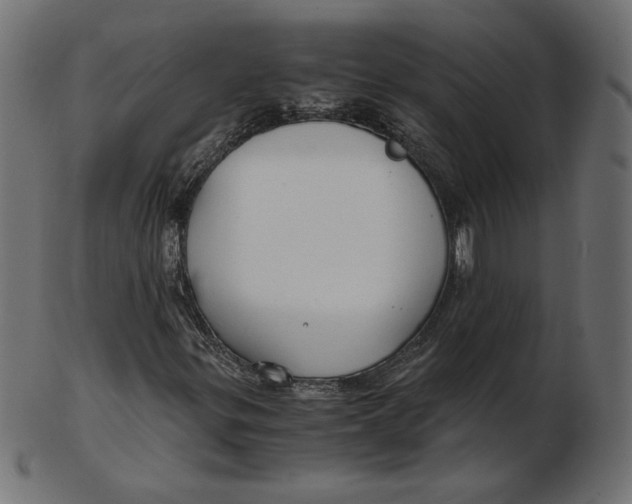 X0000103131299200809121723