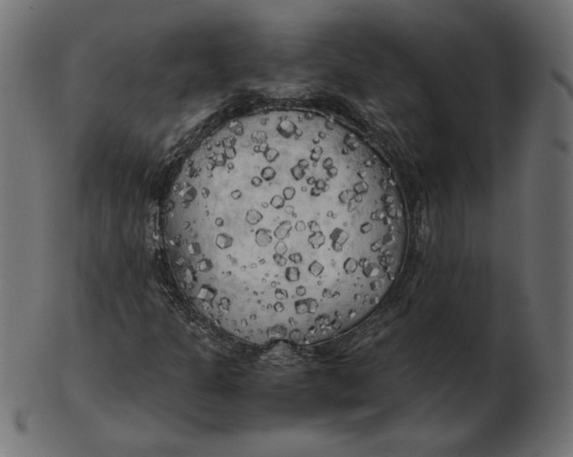 X0000103131301200809121723