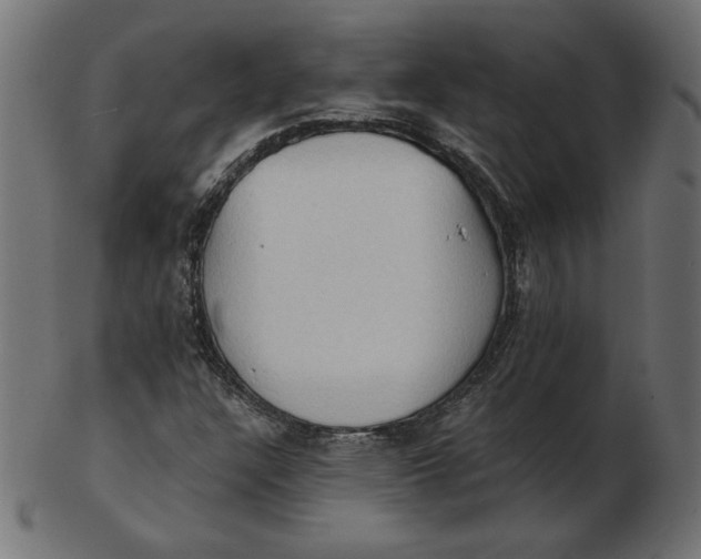 X0000103131304200809121723