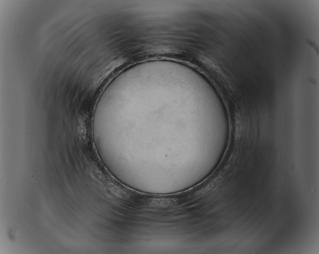 X0000103131305200809121723