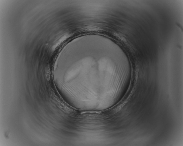 X0000103131306200809121723